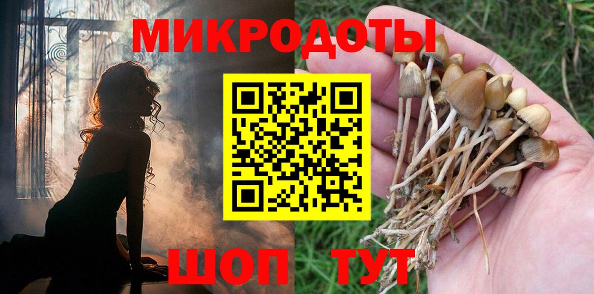 Галлюциногенные грибы Psilocybe Баксан