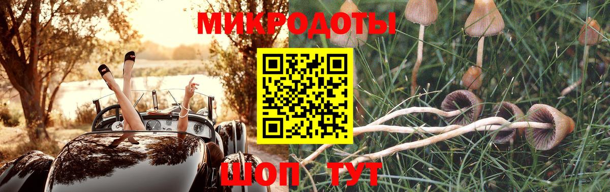 Псилоцибиновые грибы Cubensis  Галлюциногенные грибы GOLDEN TEACHER  Баксан  Вход с VPN 