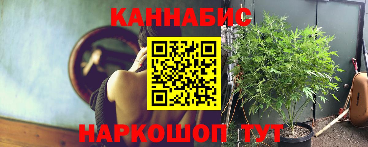 Каннабис гибрид  Вход с VPN  Баксан  Марихуана SATIVA & INDICA  Конопля VHQ  Марихуана ГИДРОПОН 